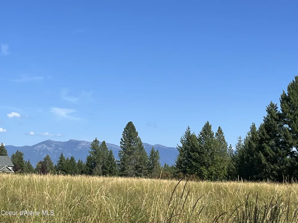 492 Stellar Jay Road Bonners Ferry, ID 83805