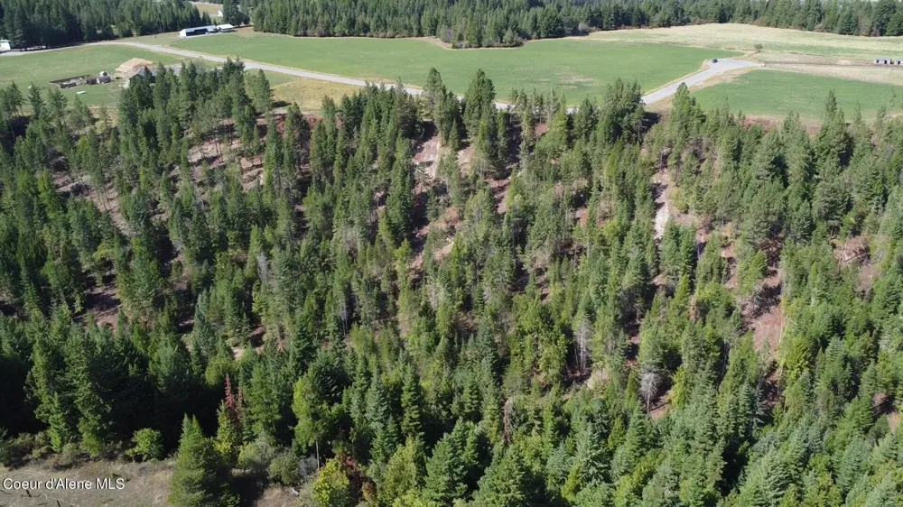 492 Stellar Jay Road Bonners Ferry, ID 83805
