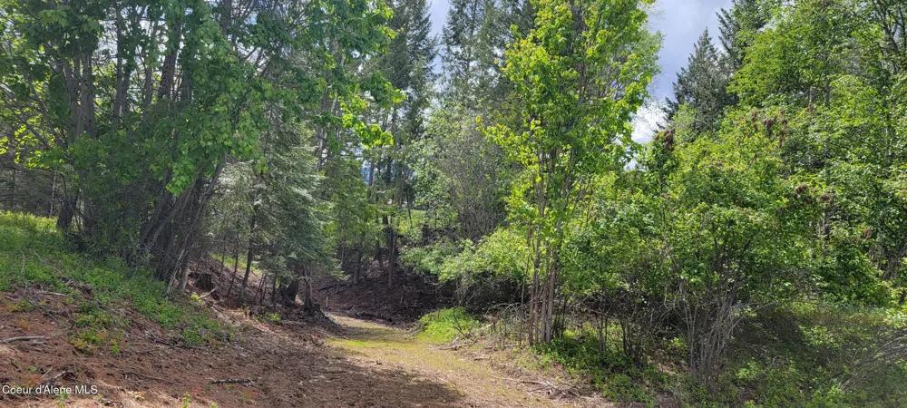 492 Stellar Jay Road Bonners Ferry, ID 83805