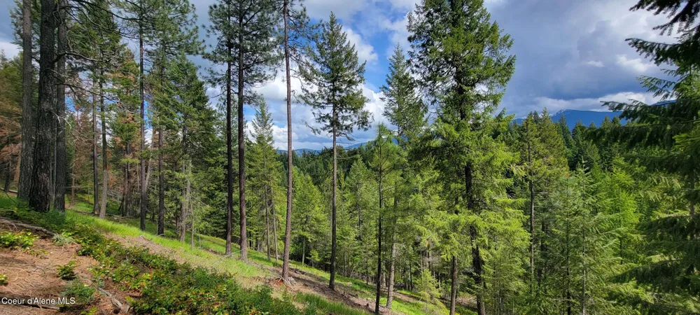 492 Stellar Jay Road Bonners Ferry, ID 83805