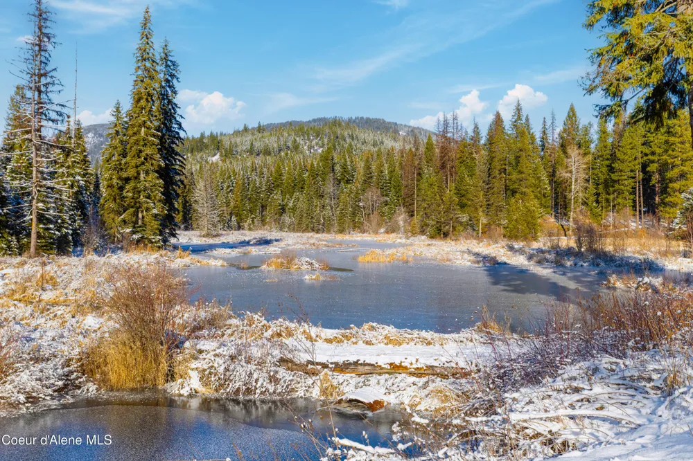 533739 U.S. 95 - 228 Acres Bonners Ferry, ID 83805