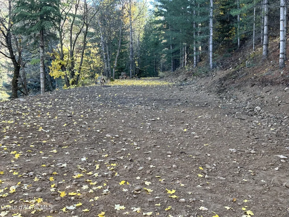 NKA Presley Avenue Kellogg, ID 83837