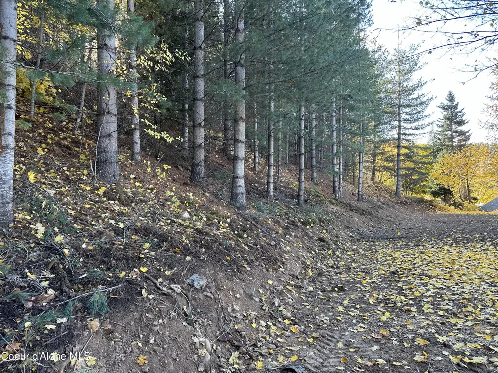 NKA Presley Avenue Kellogg, ID 83837