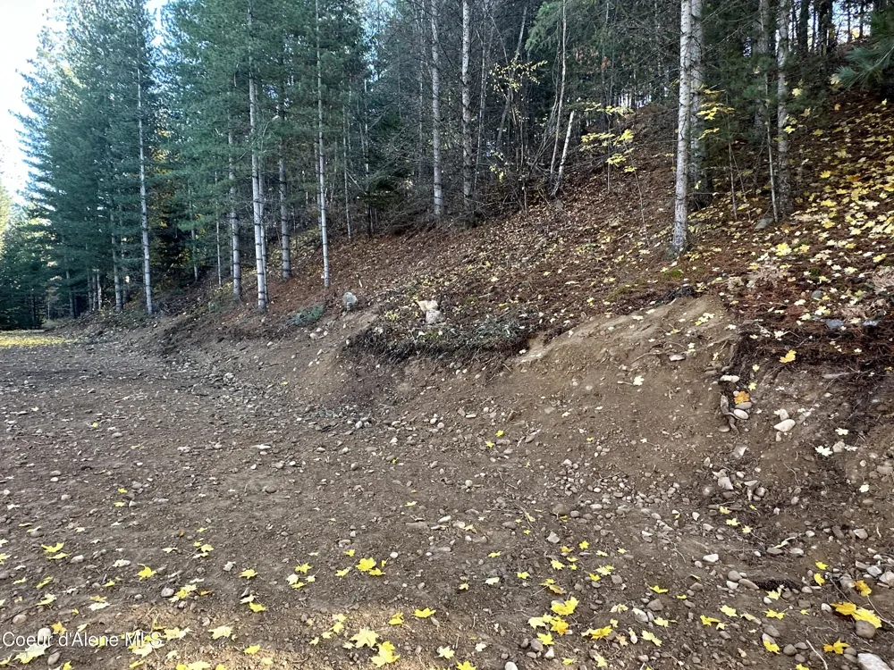 NKA Presley Avenue Kellogg, ID 83837