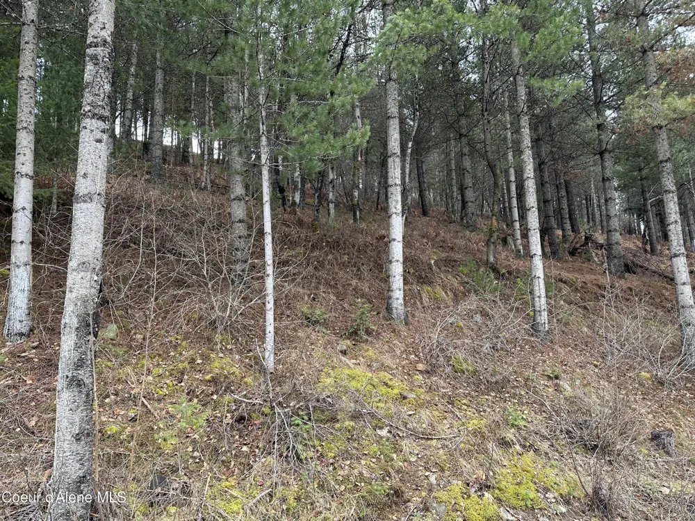 NKA Presley Avenue Kellogg, ID 83837