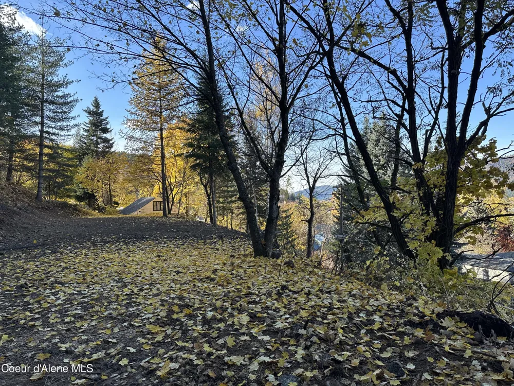 NKA Presley Avenue Kellogg, ID 83837