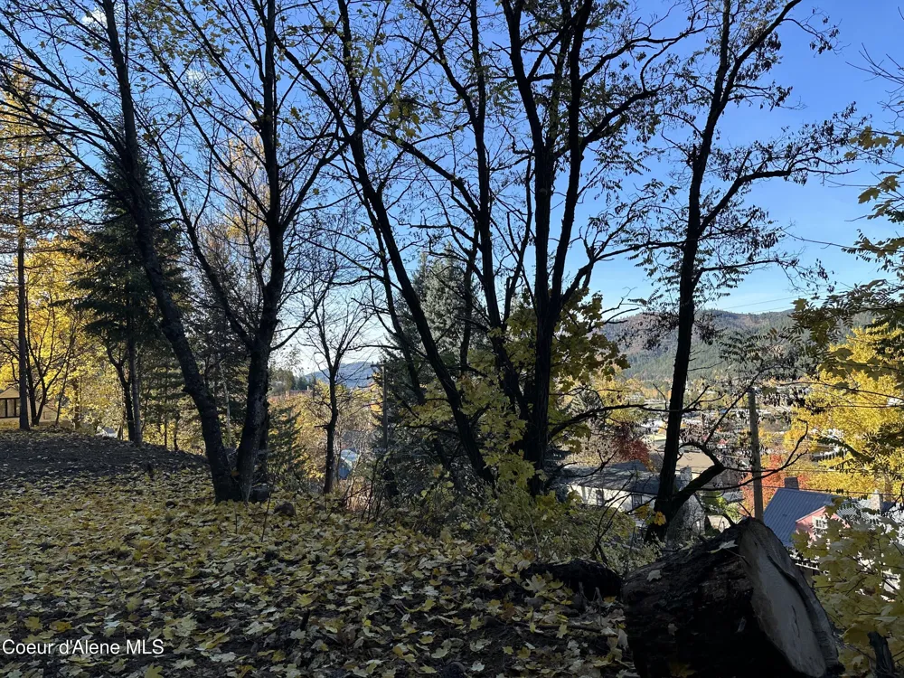 NKA Presley Avenue Kellogg, ID 83837