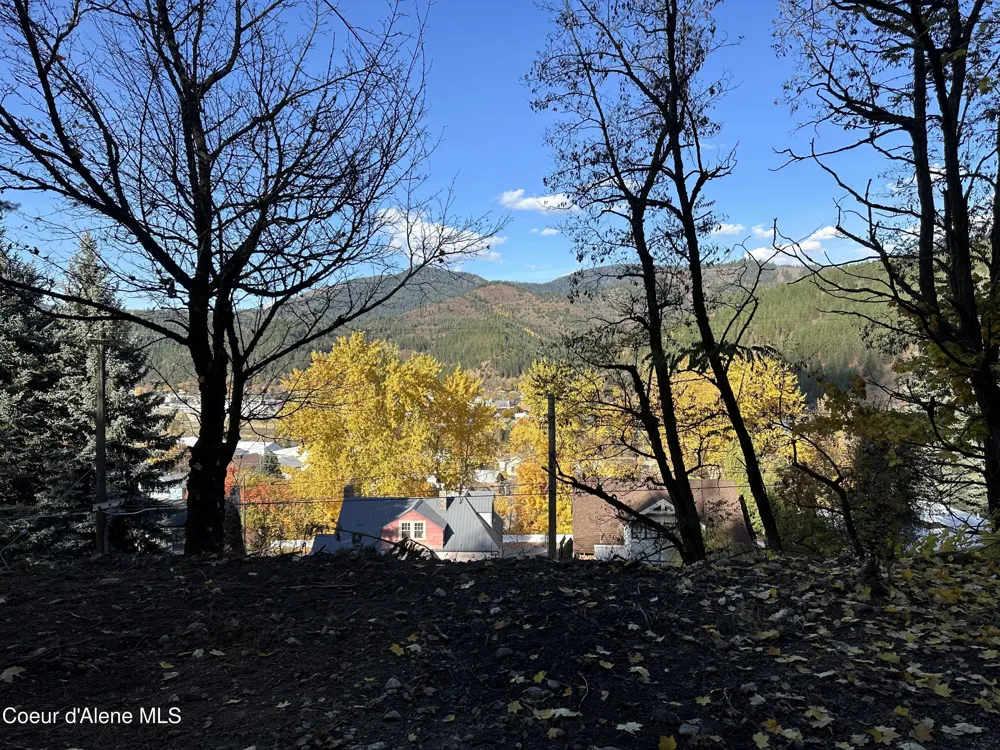 NKA Presley Avenue Kellogg, ID 83837