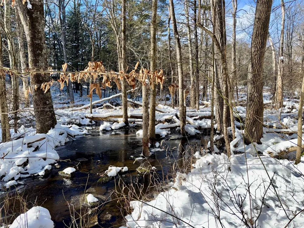 40 Potic Creek Road Call Listing Agent, NY 12051