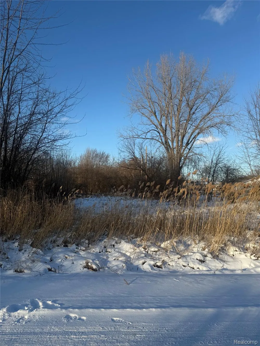 41 Charles Clinton Charter Township, MI 48035