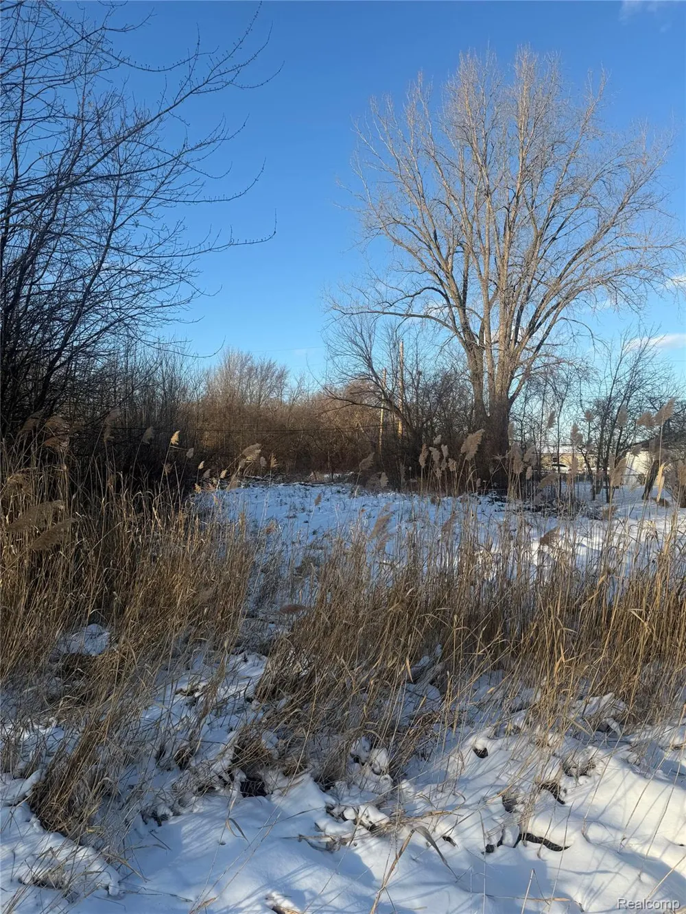 41 Charles Clinton Charter Township, MI 48035