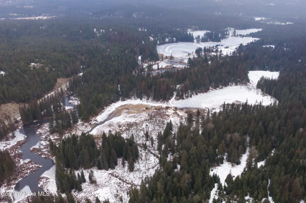 533739 U.S. 95 - 75 & 95 Acres Bonners Ferry, ID 83805