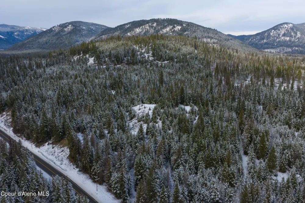 533739 U.S. 95 - 75 & 95 Acres Bonners Ferry, ID 83805