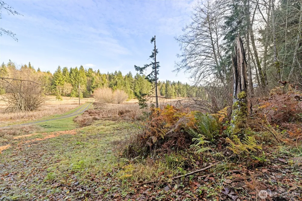 0 NKA Lost Mountain Road Sequim, WA 98382