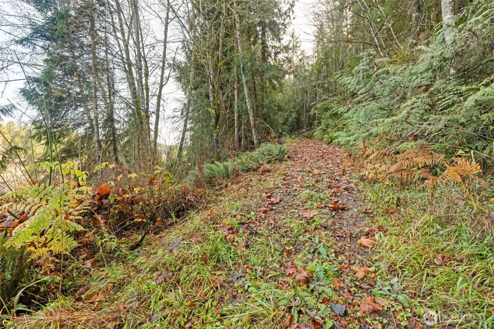 0 NKA Lost Mountain Road Sequim, WA 98382