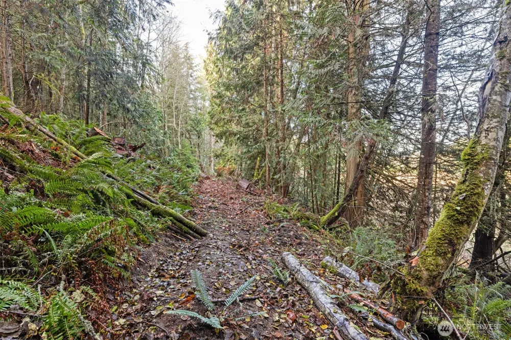 0 NKA Lost Mountain Road Sequim, WA 98382