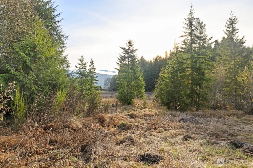 0 NKA Lost Mountain Road Sequim, WA 98382