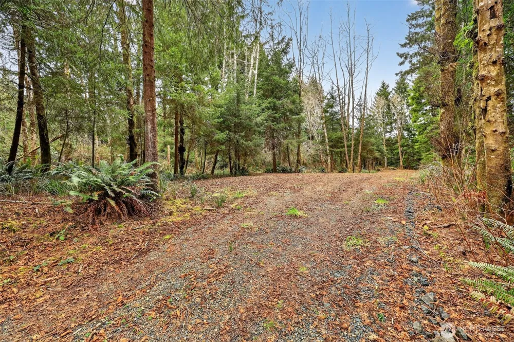 2776 State Route 109 Ocean City, WA 98569