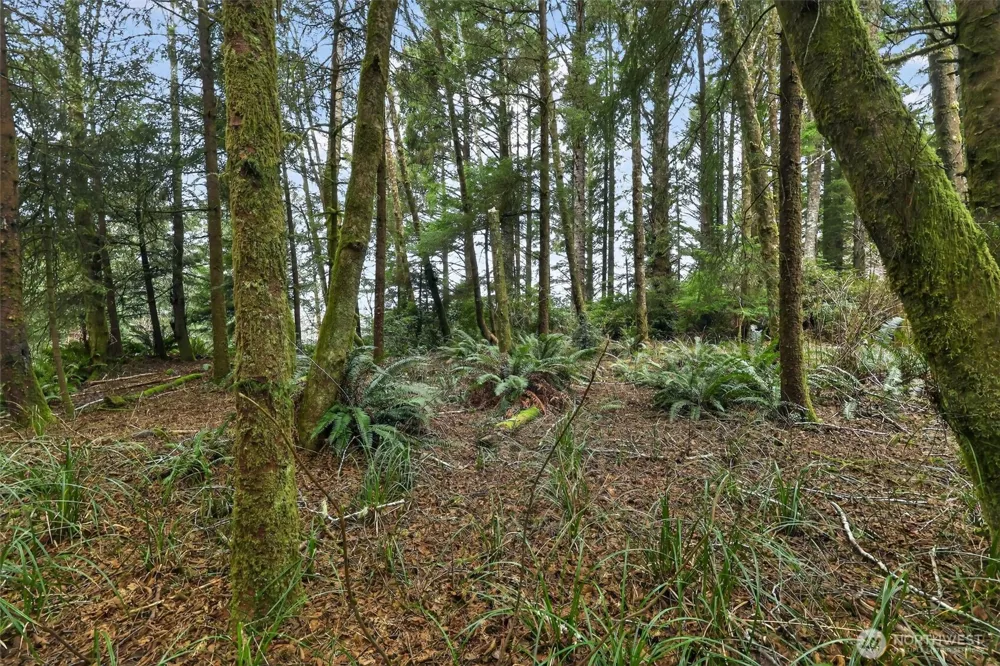 2776 State Route 109 Ocean City, WA 98569