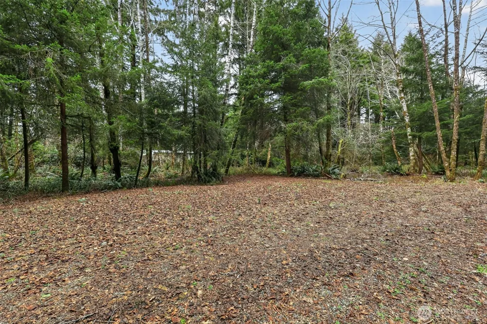 2776 State Route 109 Ocean City, WA 98569