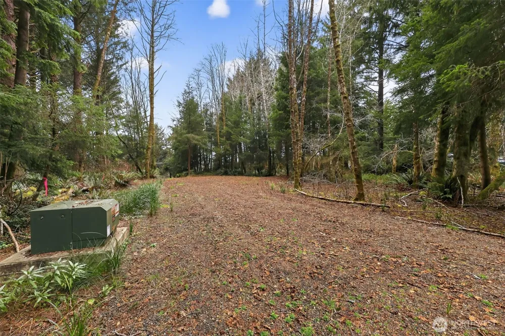 2776 State Route 109 Ocean City, WA 98569