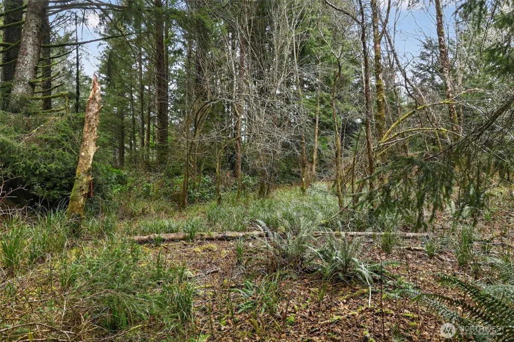 2776 State Route 109 Ocean City, WA 98569