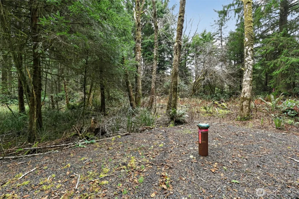 2776 State Route 109 Ocean City, WA 98569