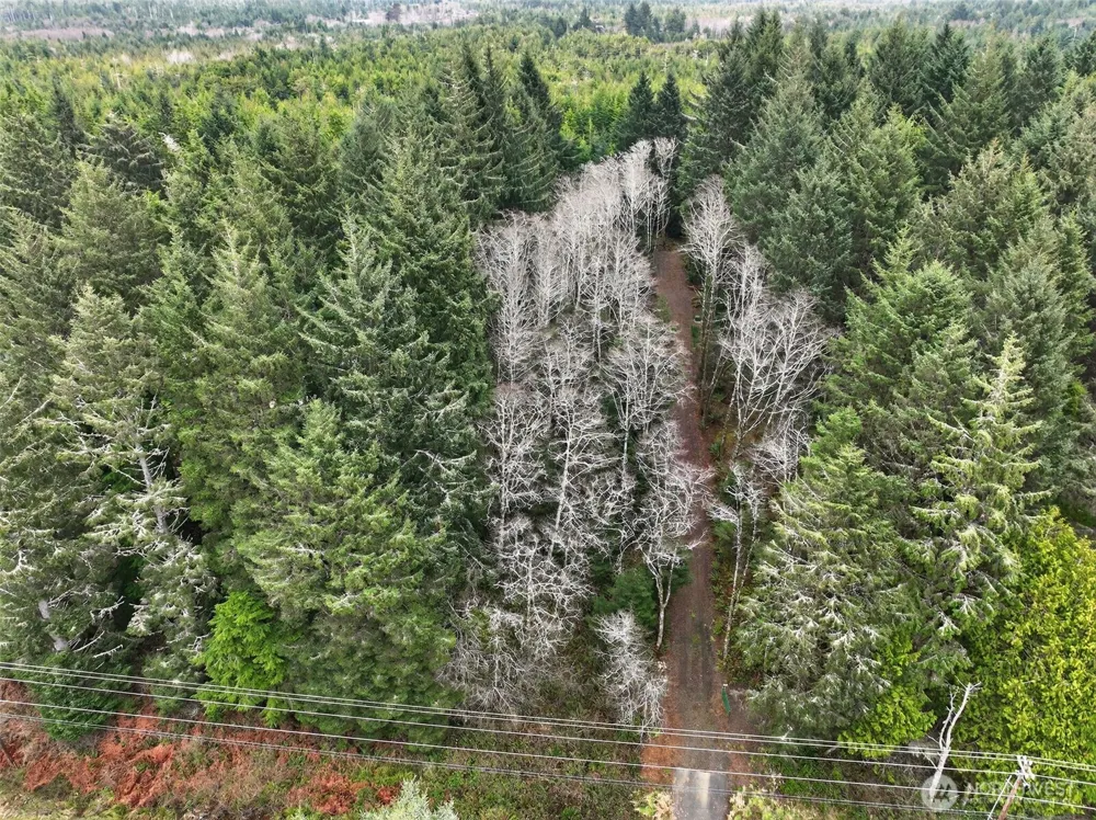 2776 State Route 109 Ocean City, WA 98569