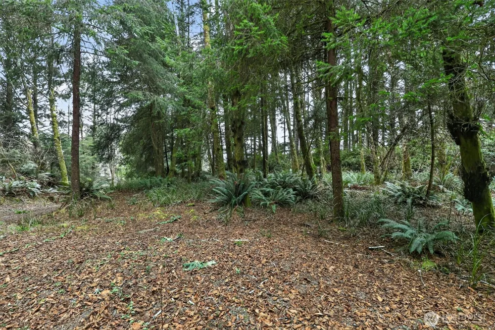 2776 State Route 109 Ocean City, WA 98569