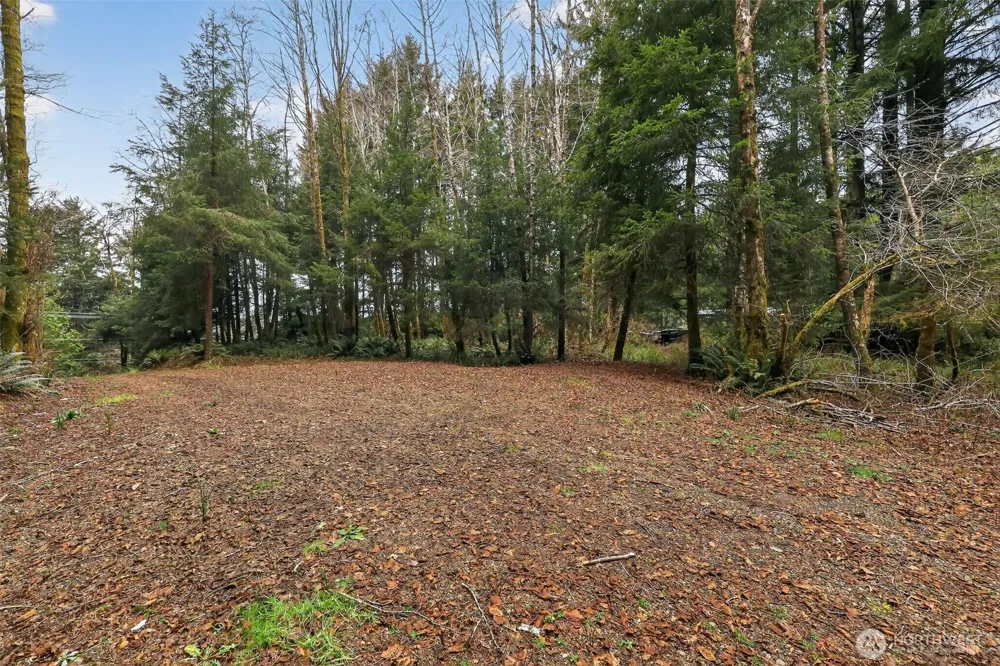2776 State Route 109 Ocean City, WA 98569