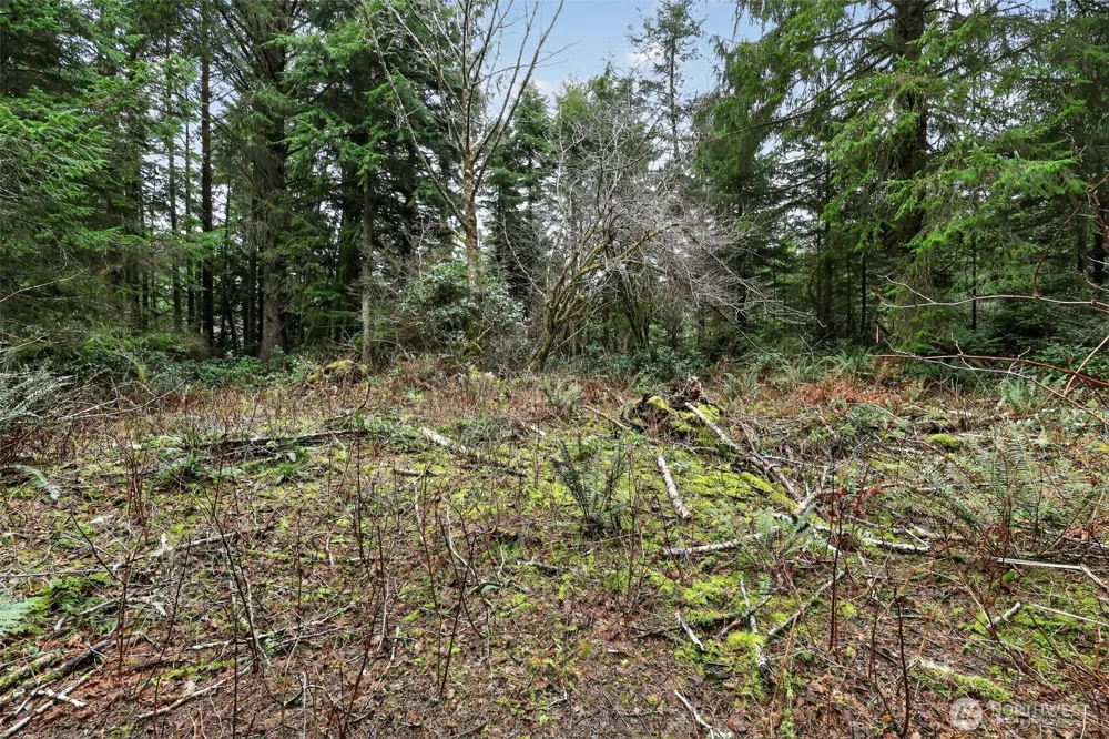 2776 State Route 109 Ocean City, WA 98569