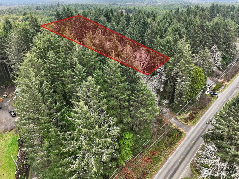 2776 State Route 109 Ocean City, WA 98569