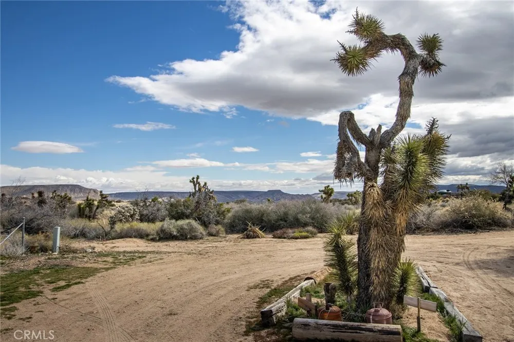 2863 Ox Yoke Pioneertown, CA 92268