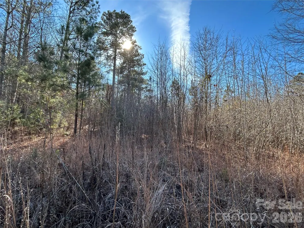 38 AC Mountain Gap Road Richburg, SC 29729