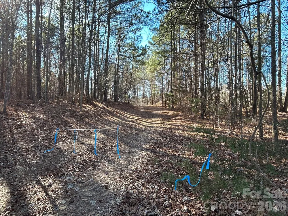 38 AC Mountain Gap Road Richburg, SC 29729