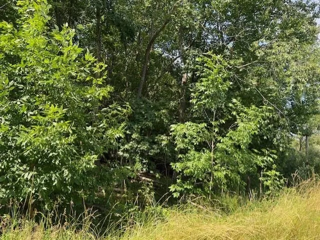 Ninth Avenue Tawas Township, MI 48763