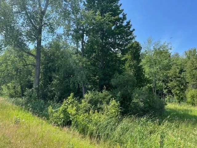 Ninth Avenue Tawas Township, MI 48763