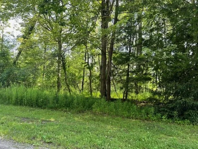 Ninth Avenue Tawas Township, MI 48763