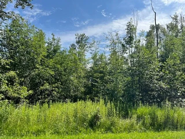 Ninth Avenue Tawas Township, MI 48763
