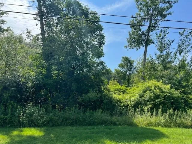 Ninth Avenue Tawas Township, MI 48763