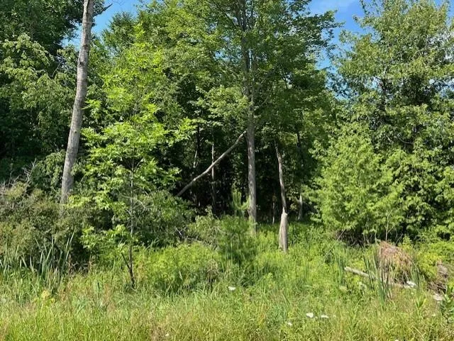 Ninth Avenue Tawas Township, MI 48763