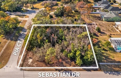 SEBASTIAN DRIVE