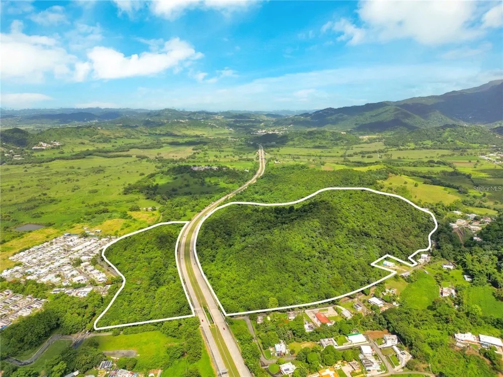 BO MAIZALES CALLE BORGES FINAL Naguabo, PR 00718