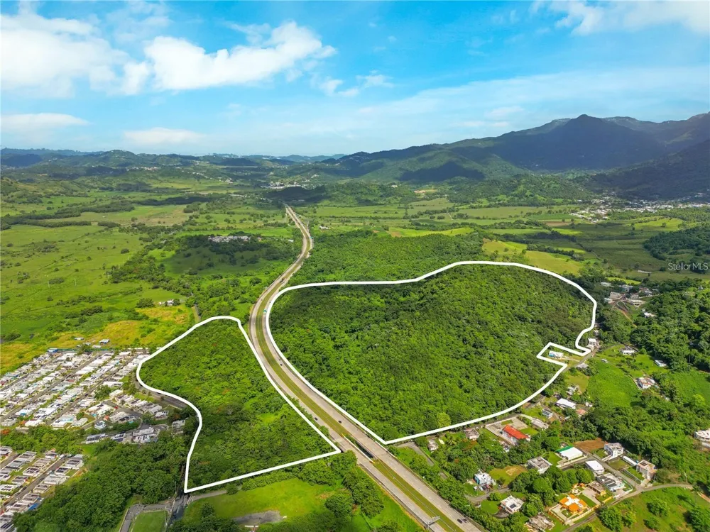 BO MAIZALES CALLE BORGES FINAL Naguabo, PR 00718