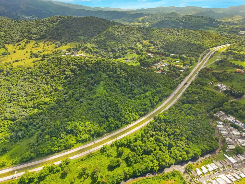 BO MAIZALES CALLE BORGES FINAL Naguabo, PR 00718