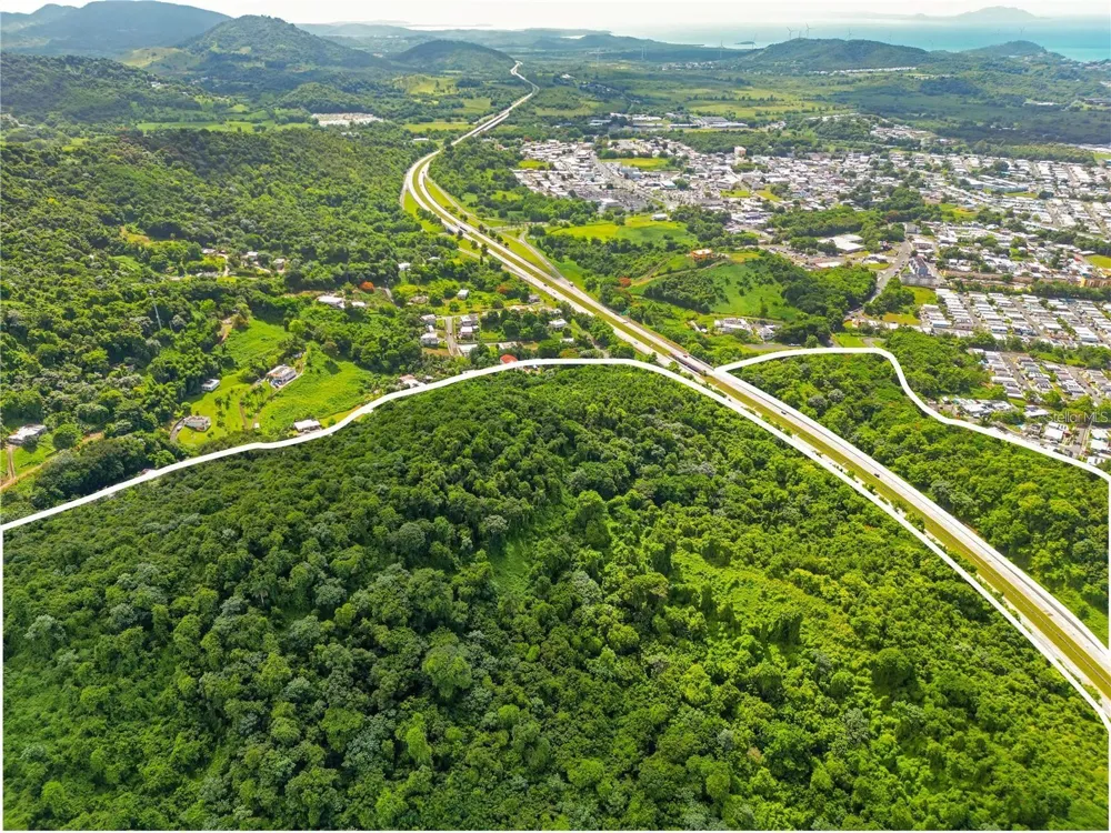 BO MAIZALES CALLE BORGES FINAL Naguabo, PR 00718
