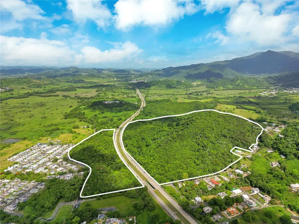 BO MAIZALES CALLE BORGES FINAL Naguabo, PR 00718