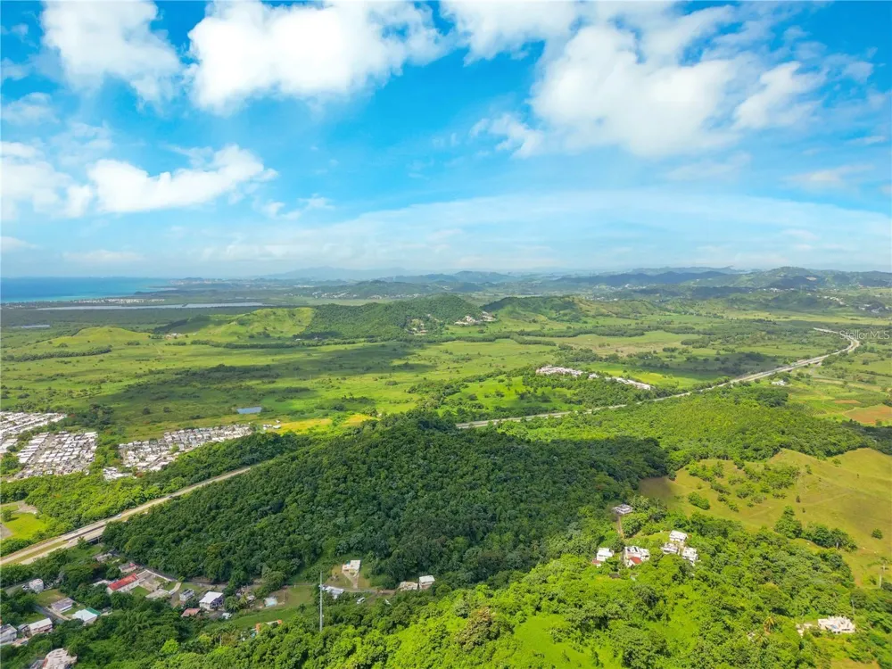 BO MAIZALES CALLE BORGES FINAL Naguabo, PR 00718