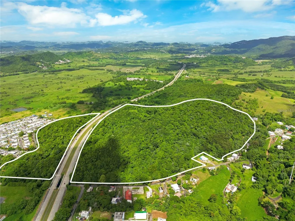 BO MAIZALES CALLE BORGES FINAL Naguabo, PR 00718