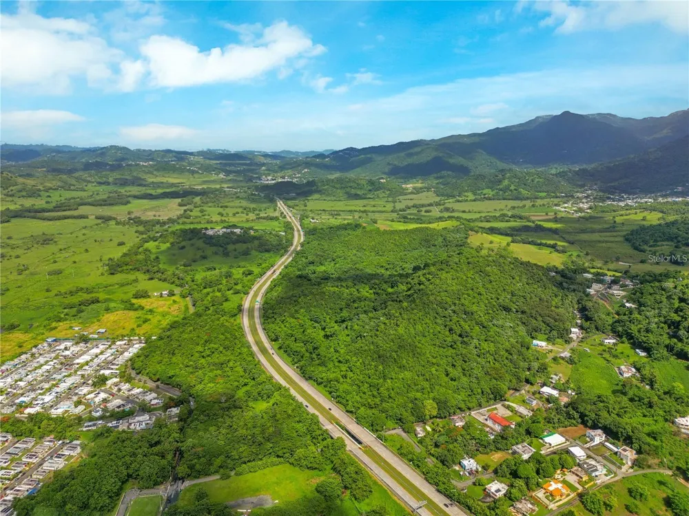 BO MAIZALES CALLE BORGES FINAL Naguabo, PR 00718